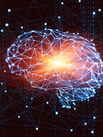 showing brain reward from addiction