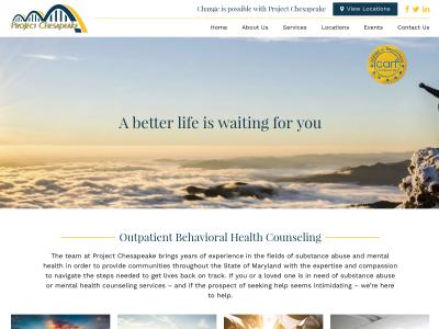 Project Chesapeake Brooklyn