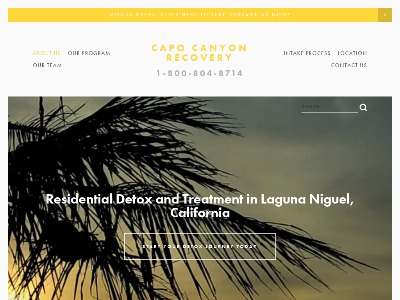 Capo Canyon Recovery Laguna Niguel