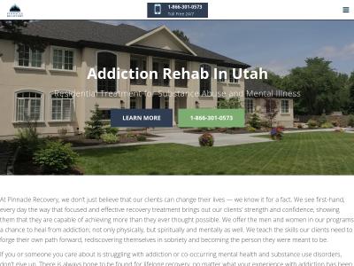 Pinnacle Recovery Sandy