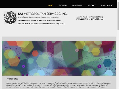 DUI Metropolitan Services Inc Chicago