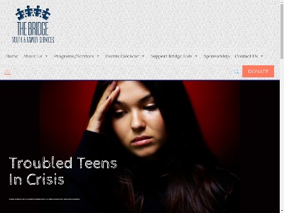 Bridge Youth And Family Services Palatine