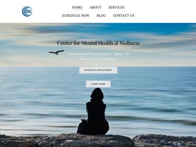 Center For Mental Health And Wellness Minneapolis