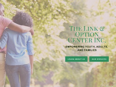 Link And Options Center Inc South Holland