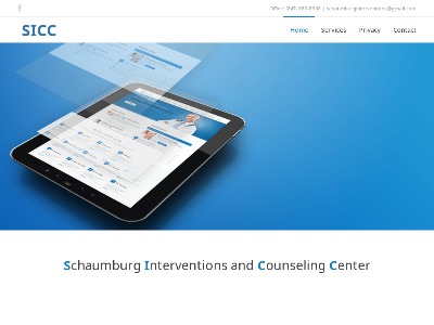 Schaumburg Interventions And Schaumburg