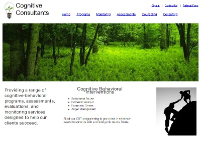 Cognitive Consultants LLC Lansing